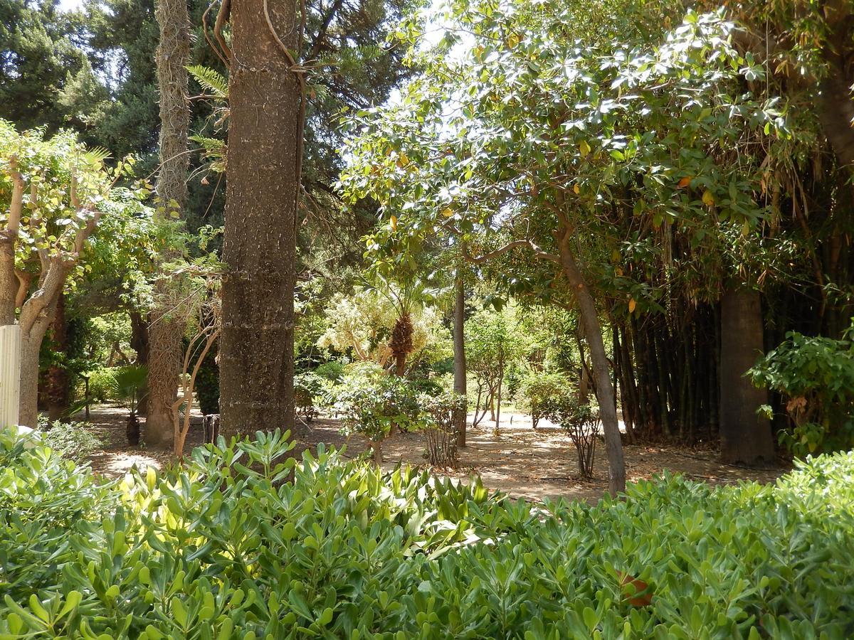 Aloe 2* Rethymno