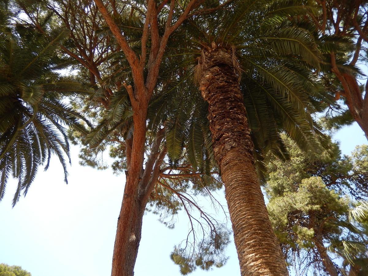 Aloe 2* Rethymno