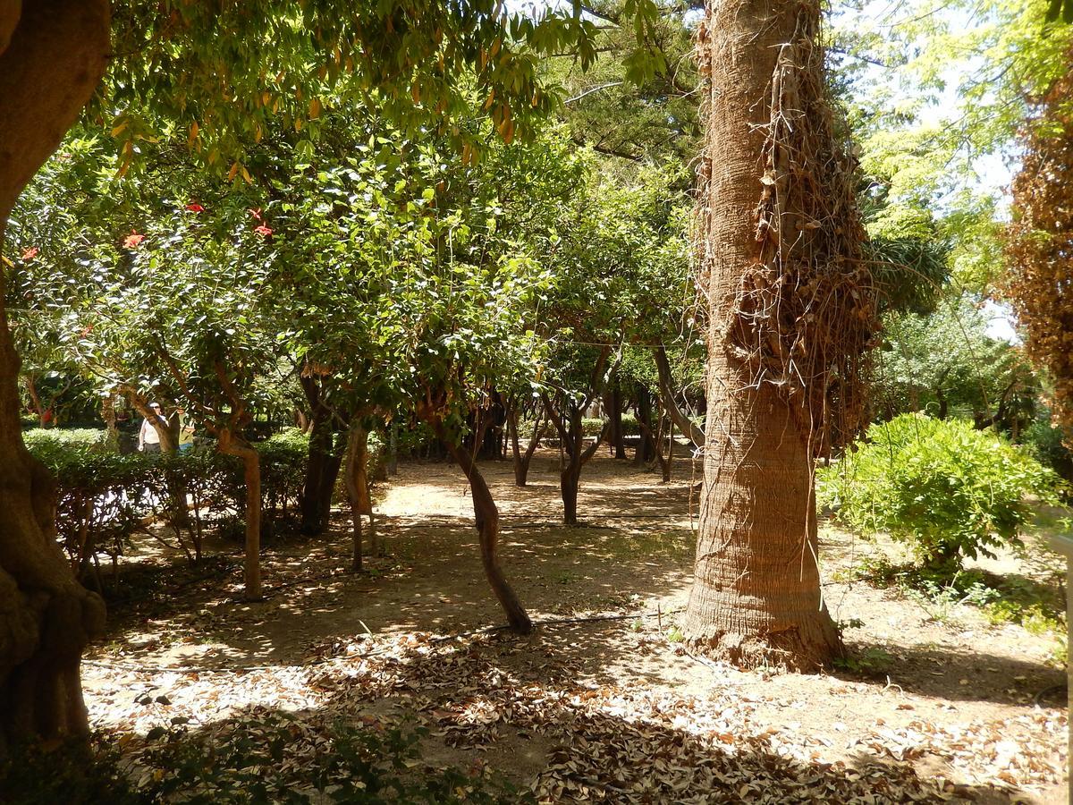 Aparthotel Aloe Rethymno